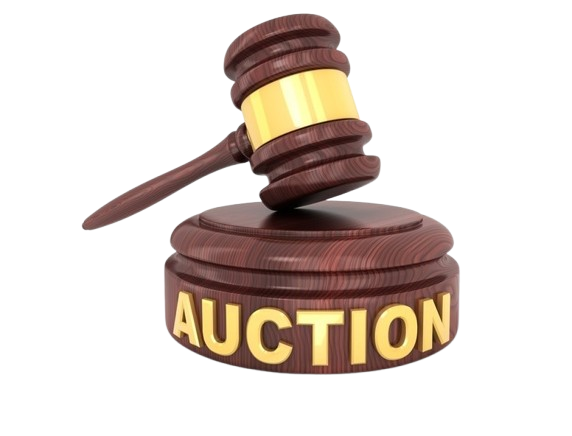 1673722914401-removebg-preview